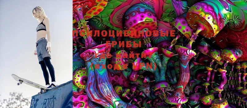 OMG ONION  Воркута  Галлюциногенные грибы MAGIC MUSHROOMS 