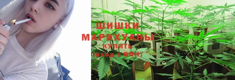 Шишки марихуана индика  где купить наркоту  Воркута 